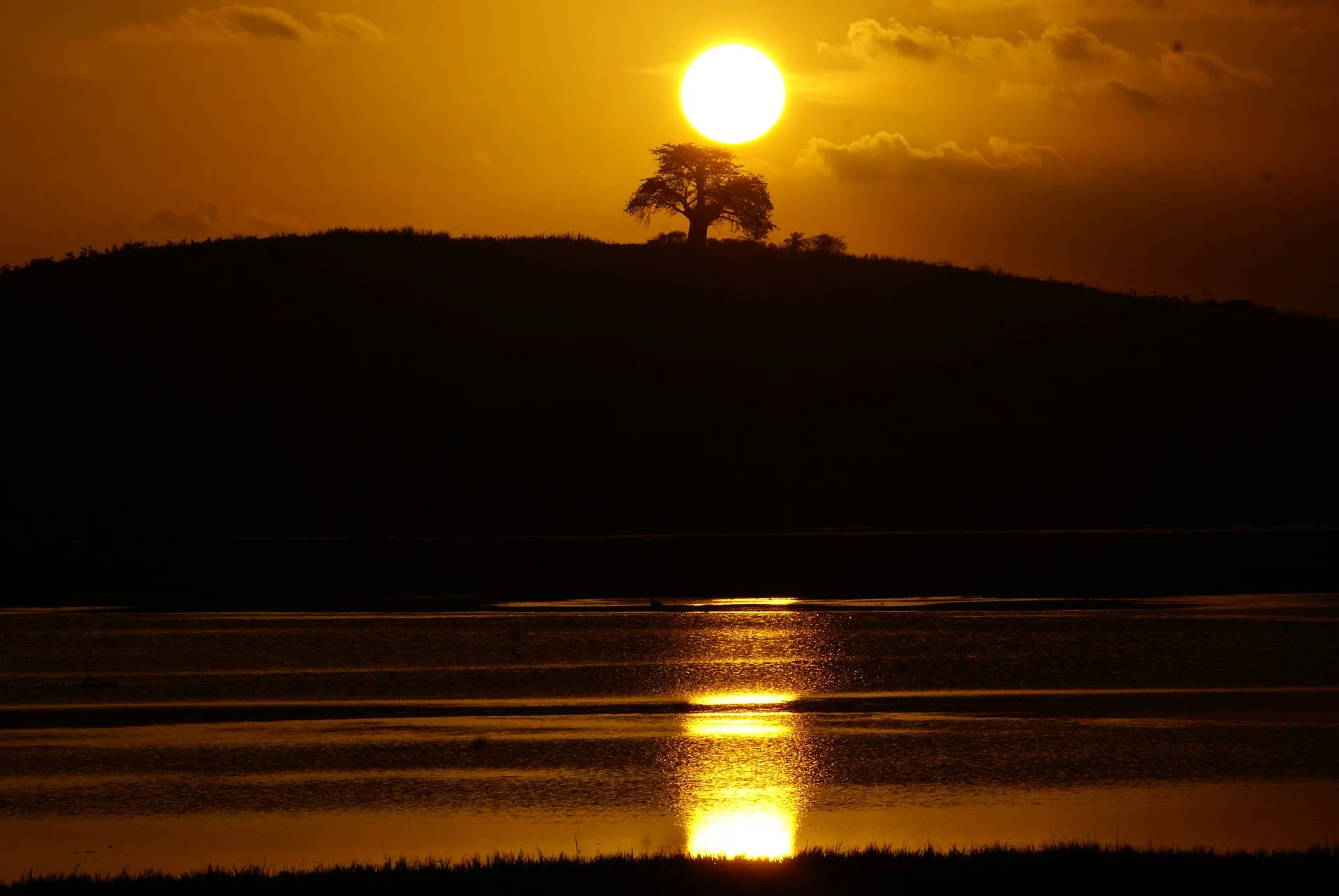 Pôr do sol dourado refletido na água entre manguezais, Pernambuco
